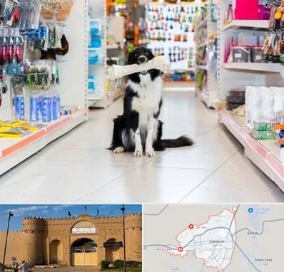 پت شاپ در ایرانشهر