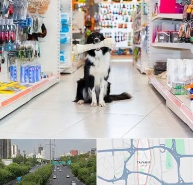 پت شاپ در توانیر