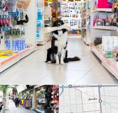 پت شاپ در سلسبیل