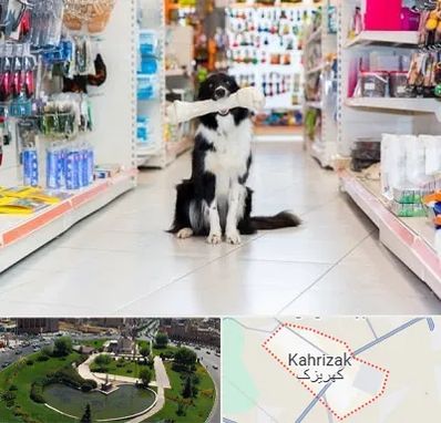 پت شاپ در کهریزک