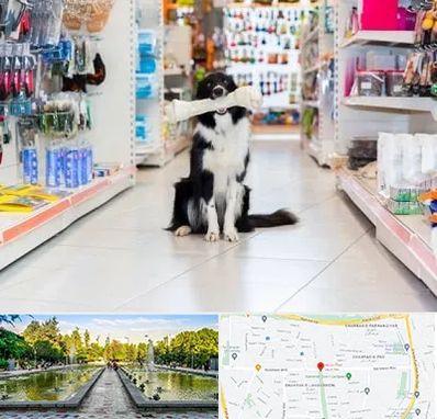 پت شاپ در سرسبز