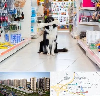 پت شاپ در المپیک