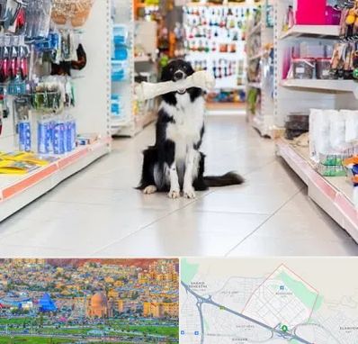 پت شاپ در رشدیه تبریز