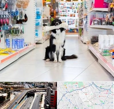 پت شاپ در ستارخان شیراز