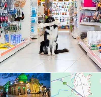 پت شاپ در آستانه اشرفیه