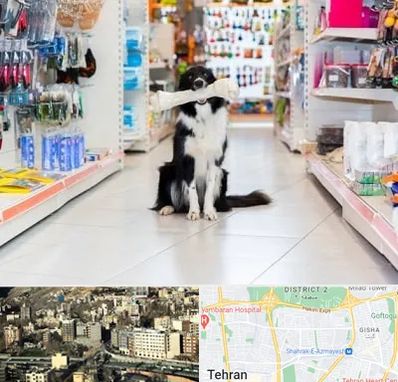 پت شاپ در مرزداران