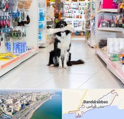 پت شاپ در بندرعباس