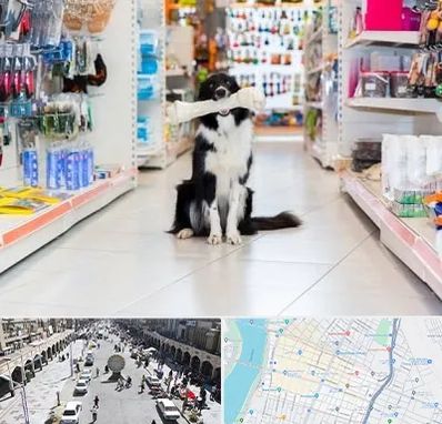 پت شاپ در نادری اهواز