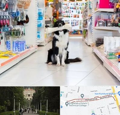 پت شاپ در بلوار معلم رشت