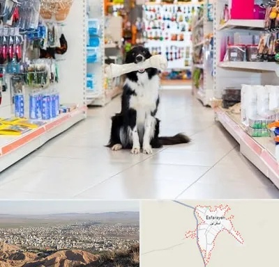 پت شاپ در اسفراین