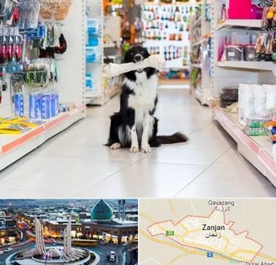 پت شاپ در زنجان