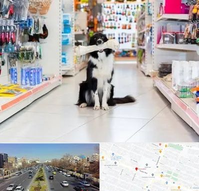 پت شاپ در بلوار معلم مشهد