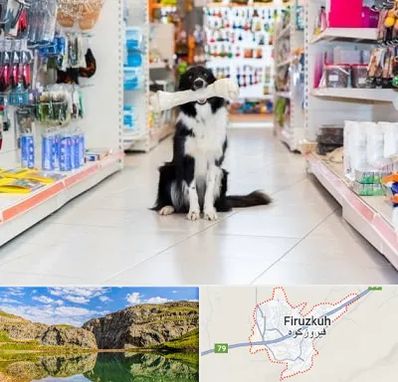 پت شاپ در فیروزکوه