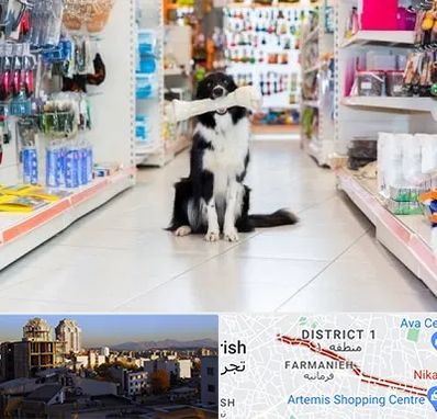 پت شاپ در فرمانیه