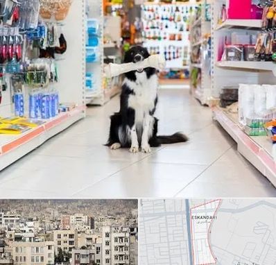 پت شاپ در اسکندری