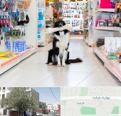پت شاپ در طرشت