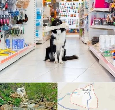 پت شاپ در کردان