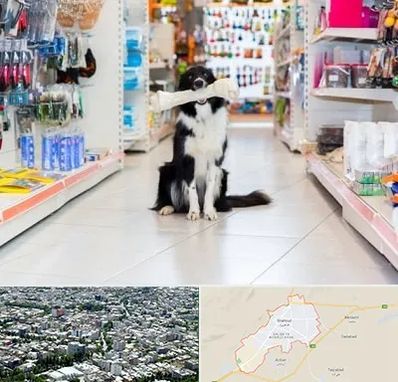 پت شاپ در شاهرود