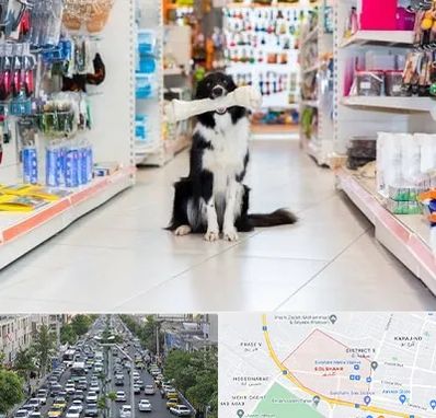 پت شاپ در گلشهر کرج