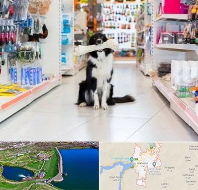 پت شاپ در مهاباد