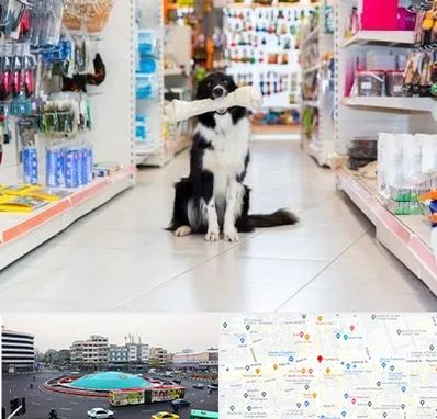 پت شاپ در میدان انقلاب