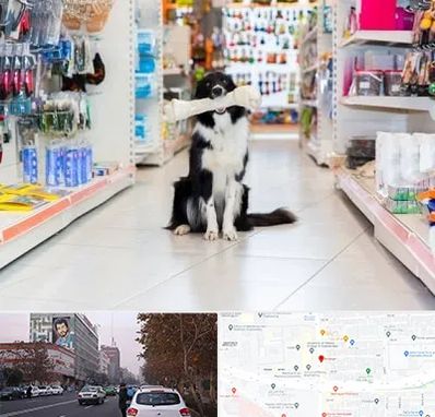 پت شاپ در کارگر شمالی