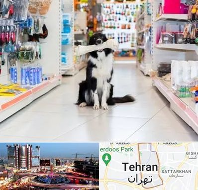 پت شاپ در صادقیه