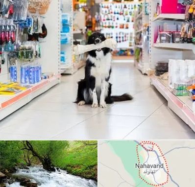 پت شاپ در نهاوند