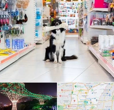 پت شاپ در منطقه 3 تهران