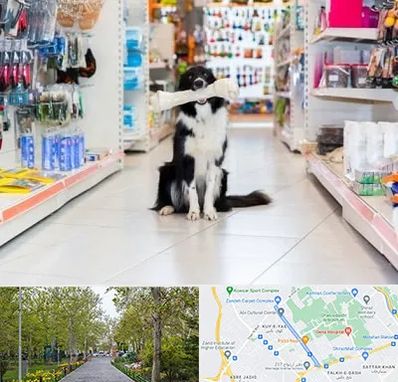 پت شاپ در قدوسی غربی شیراز