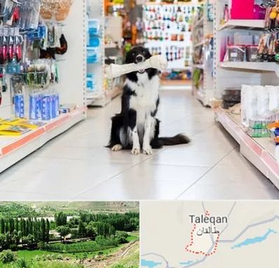 پت شاپ در طالقان