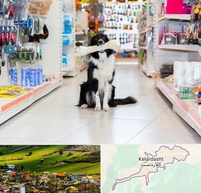 پت شاپ در کلاردشت