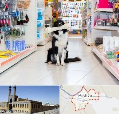 پت شاپ در پیشوا