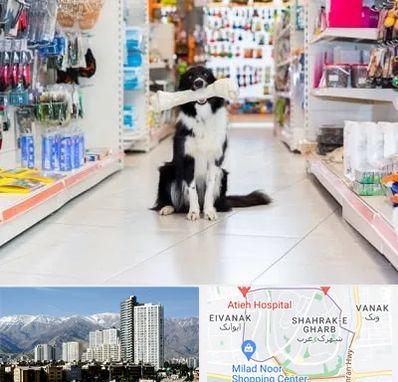 پت شاپ در شهرک غرب تهران