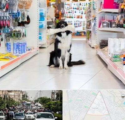 پت شاپ در سیدی مشهد