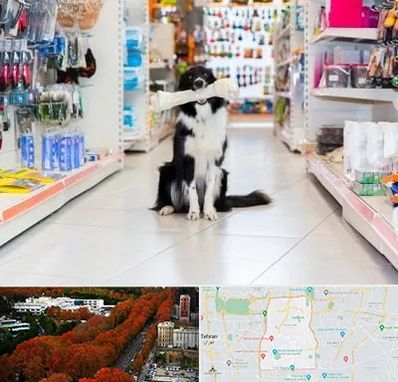 پت شاپ در منطقه 6 تهران