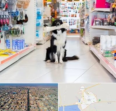 پت شاپ در بندر ماهشهر