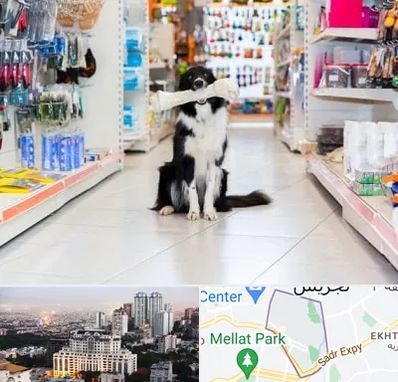 پت شاپ در الهیه