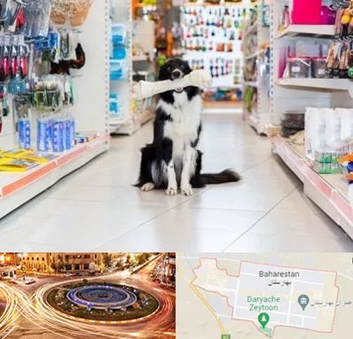 پت شاپ در بهارستان