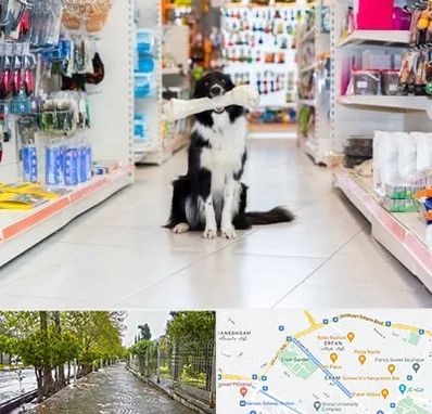 پت شاپ در خیابان ارم شیراز