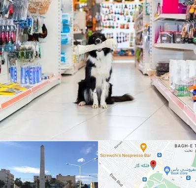 پت شاپ در فلکه گاز شیراز