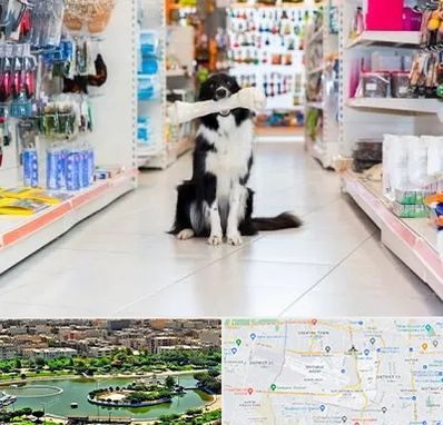 پت شاپ در منطقه 9 تهران