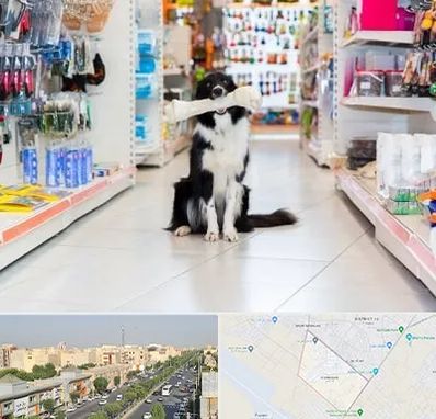 پت شاپ در کیانمهر کرج