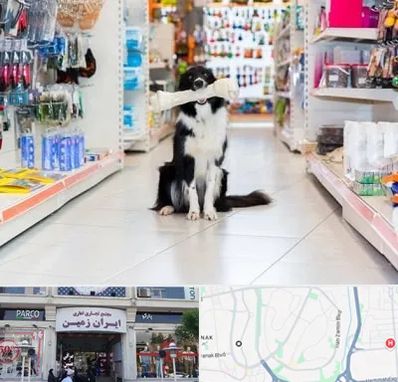 پت شاپ در ایران زمین