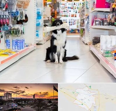 پت شاپ در قوچان