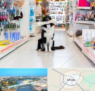 پت شاپ در سوسنگرد