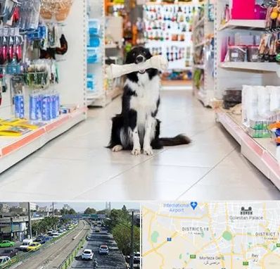 پت شاپ در جنوب تهران