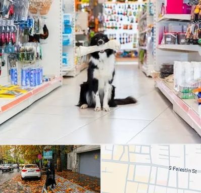 پت شاپ در خیابان فلسطین