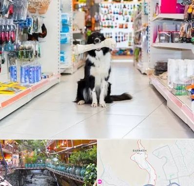 پت شاپ در درکه