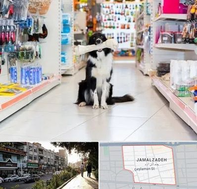 پت شاپ در خیابان جمالزاده
